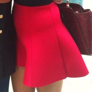 Super kute skirt
